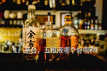 1、茅臺，五糧液哪個好喝？