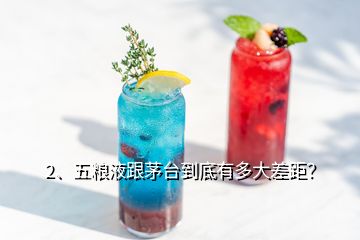 2、五糧液跟茅臺到底有多大差距？