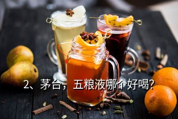 2、茅臺，五糧液哪個好喝？