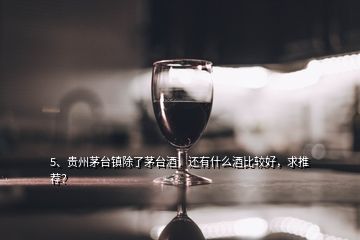 5、貴州茅臺鎮(zhèn)除了茅臺酒，還有什么酒比較好，求推薦？