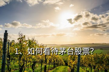 1、如何看待茅臺(tái)股票？