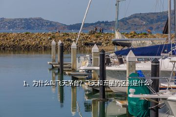 1、為什么叫飛天茅臺？飛天和五星的區(qū)別是什么？