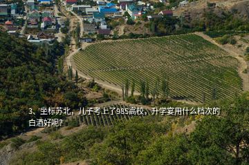 3、坐標(biāo)蘇北，兒子考上了985高校，升學(xué)宴用什么檔次的白酒好呢？