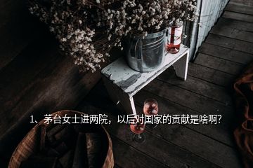 1、茅臺(tái)女士進(jìn)兩院，以后對(duì)國家的貢獻(xiàn)是啥??？