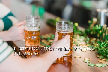 3、如果中獎500萬，想投資個實體酒店，茅臺，五糧液，洋河，選哪個好？