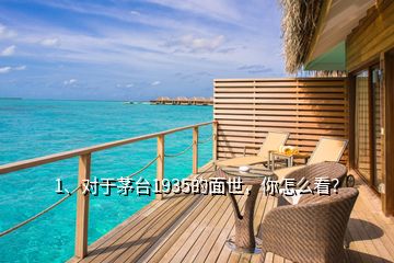 1、對于茅臺1935的面世，你怎么看？