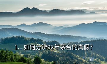 1、如何分辨92年茅臺(tái)的真假？