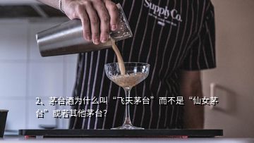 2、茅臺酒為什么叫“飛天茅臺”而不是“仙女茅臺”或者其他茅臺？