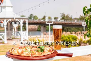 3、五糧液和茅臺酒哪個的歷史久遠(yuǎn)？