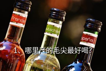 1、哪里產(chǎn)的毛尖最好喝？