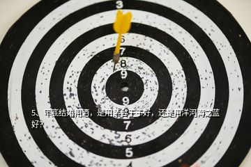 5、年底結(jié)婚用酒，是用茅臺(tái)王子好，還是用洋河海之藍(lán)好？