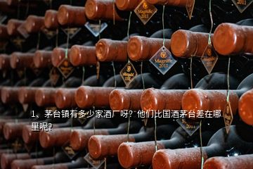 1、茅臺鎮(zhèn)有多少家酒廠呀？他們比國酒茅臺差在哪里呢？