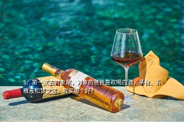 3、第一次去對象家，對象的爸爸喜歡喝白酒，茅臺、五糧液和夢之藍，我買哪個好？