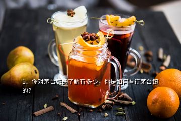 1、你對茅臺鎮(zhèn)的了解有多少，你是如何看待茅臺鎮(zhèn)的？