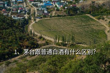 1、茅臺跟普通白酒有什么區(qū)別？