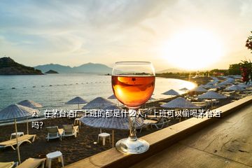 2、在茅臺(tái)酒廠上班的都是什么人，上班可以偷喝茅臺(tái)酒嗎？