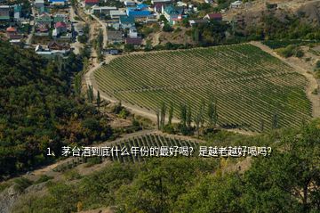 1、茅臺酒到底什么年份的最好喝？是越老越好喝嗎？