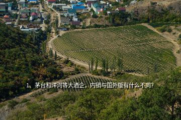 1、茅臺(tái)和洋河等大酒企，內(nèi)銷與國(guó)外版有什么不同？