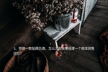 3、想做一款貼牌白酒，怎么才能快速組建一個(gè)精準(zhǔn)銷售團(tuán)隊(duì)？