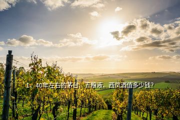 1、40年左右的茅臺、五糧液、西鳳酒值多少錢？