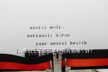 1、茅臺王子酒和茅臺迎賓酒哪個(gè)好？