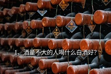 1、酒量不大的人喝什么白酒好？