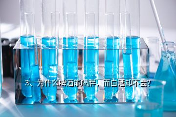 3、為什么啤酒能喝胖，而白酒卻不會？