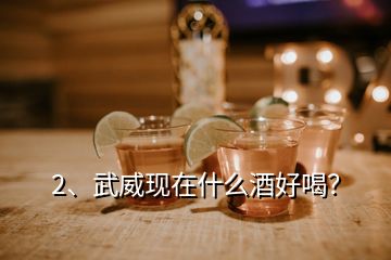 2、武威現在什么酒好喝？