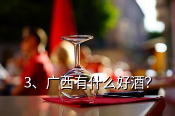 3、廣西有什么好酒？