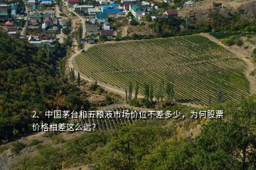 2、中國茅臺和五糧液市場價位不差多少，為何股票價格相差這么遠(yuǎn)？