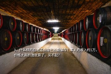 3、什么樣的白酒適合自己長期儲存？本人月收入約1萬，價格太高的酒就算了，買不起？