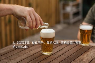 3、10月13日，截止中午，白酒大漲，像掩蓋主力撤退，明天怎么走？