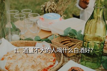 1、酒量不大的人喝什么白酒好？