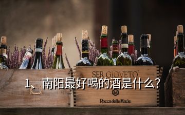 1、南陽最好喝的酒是什么？