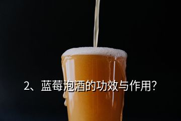 2、藍(lán)莓泡酒的功效與作用？