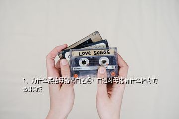 1、為什么要給母豬喝白酒呢？白酒對(duì)母豬有什么神奇的效果呢？