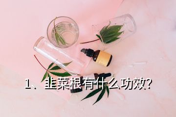 1、韭菜根有什么功效？