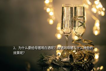 2、為什么要給母豬喝白酒呢？白酒對(duì)母豬有什么神奇的效果呢？