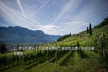 1、你認為貴州十大名酒有哪些？醬香型白酒十大排名都有哪些？