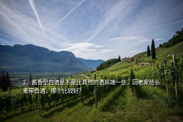 2、醬香型白酒是不是比其他的酒高端一些，回老家給長(zhǎng)輩帶白酒，哪個(gè)比較好？