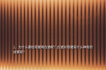 1、為什么要給母豬喝白酒呢？白酒對母豬有什么神奇的效果呢？