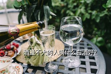 1、酒量不大的人喝什么白酒好？