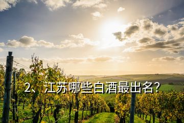 2、江蘇哪些白酒最出名？