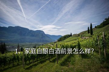 1、家庭自釀白酒前景怎么樣？