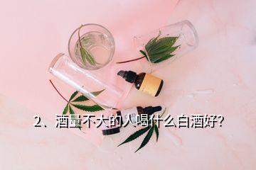 2、酒量不大的人喝什么白酒好？