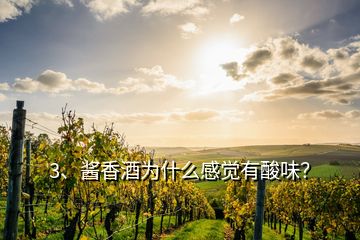 3、醬香酒為什么感覺有酸味？