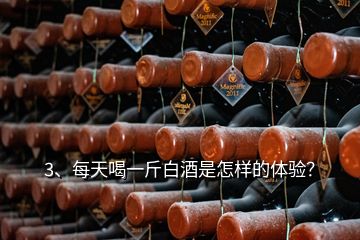 3、每天喝一斤白酒是怎樣的體驗(yàn)？