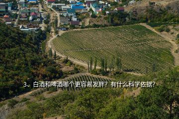 3、白酒和啤酒哪個(gè)更容易發(fā)胖？有什么科學(xué)依據(jù)？