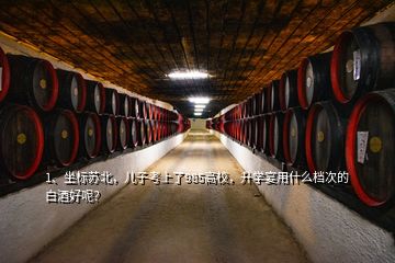 1、坐標蘇北，兒子考上了985高校，升學宴用什么檔次的白酒好呢？