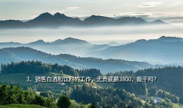 3、銷售白酒和飲料的工作，無責底薪3800，能干嗎？